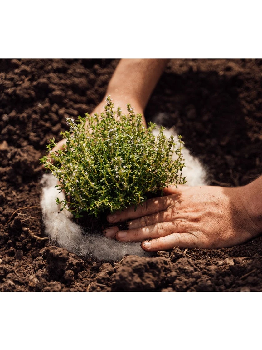 Hortiwool ®, 5 Pad Pack 5 Hortiwool ®, 5 Pad Pack - Image 3