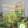 Bamboo Tomato Cages, Set Of 3 2 Bamboo Tomato Cages, Set Of 3 -Outdoor Garden Care Shop 8613426 7