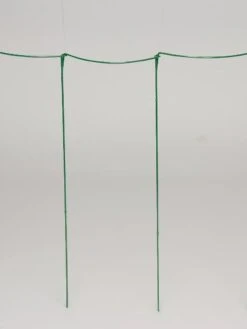 Curved Linking Stakes -Outdoor Garden Care Shop GS35241 04S tif