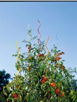 Rainbow Spiral Supports, Set Of 5