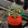 Tomato Halos, Set Of 3 -Outdoor Garden Care Shop GS40357 01 tif
